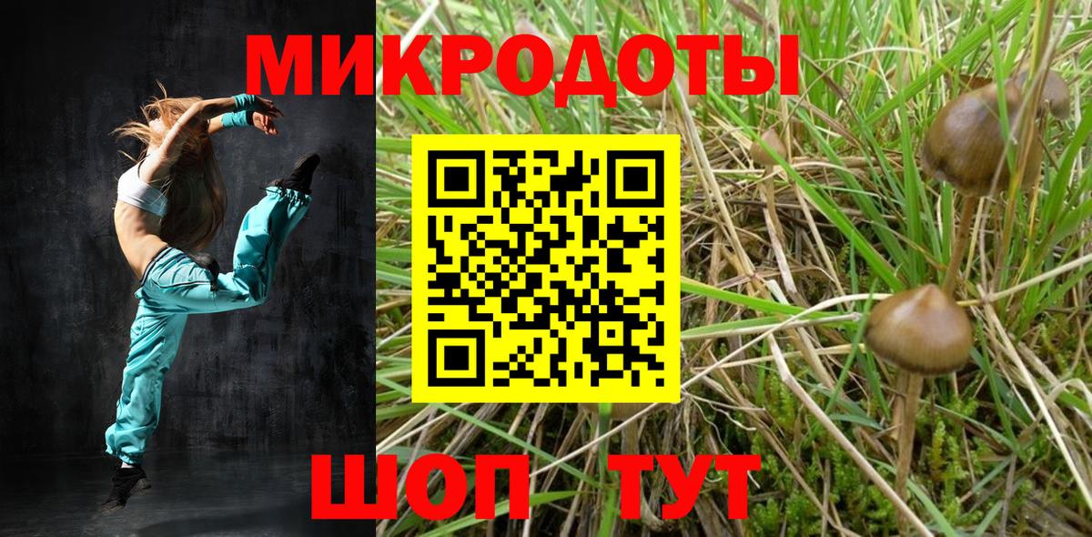 Псилоцибиновые грибы мухоморы Бугульма
