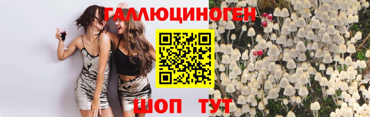 Меф мяу мяу Бугульма